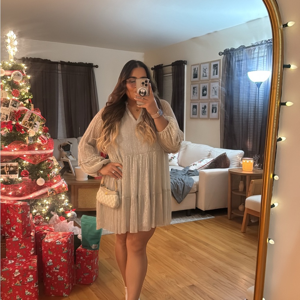 Elegant Sparkly Silver Dress